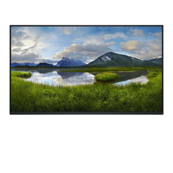 Écran Dell Pro 24 Plus - P2425H sans socle
