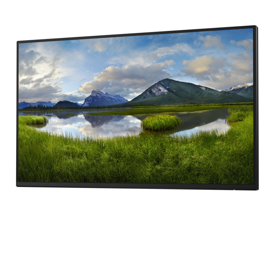 Écran Dell Pro 24 Plus - P2425H sans socle