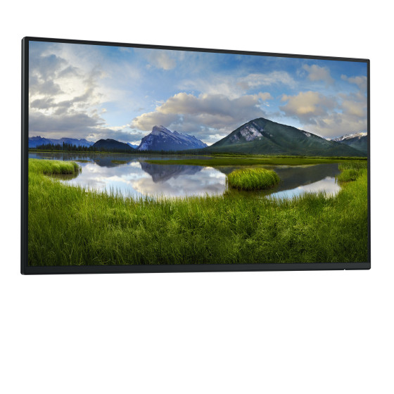 Écran Dell Pro 24 Plus - P2425H sans socle