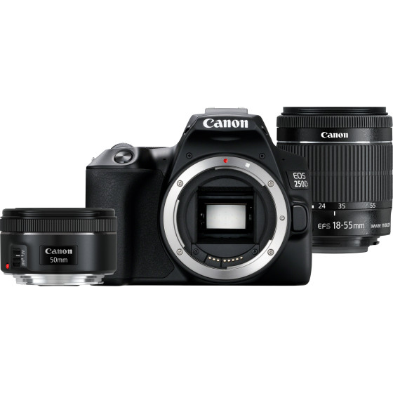 Canon EOS 250D, Black + EF-S 18-55mm f/4-5.6 IS STM + EF 50mm f/1.8 STM Lens