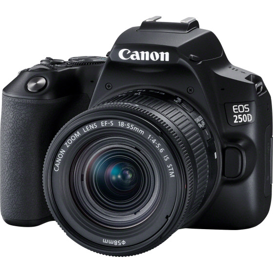 Canon EOS 250D, Black + EF-S 18-55mm f/4-5.6 IS STM + EF 50mm f/1.8 STM Lens