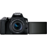 Canon EOS 250D, Black + EF-S 18-55mm f/4-5.6 IS STM + EF 50mm f/1.8 STM Lens