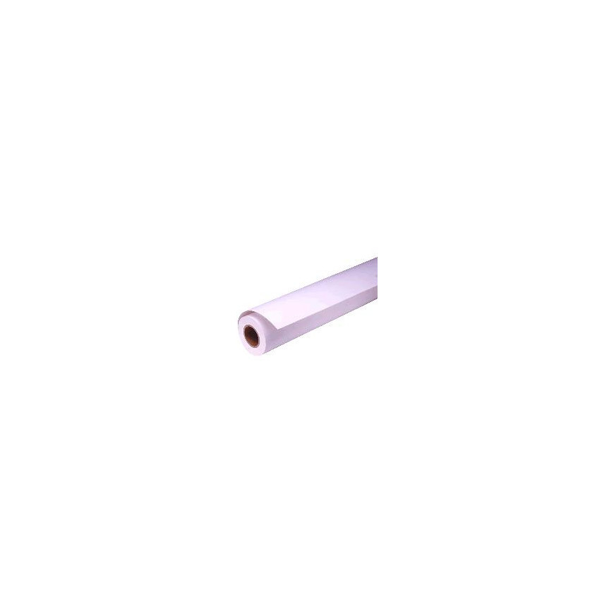 Epson Pap Présentation mat 24"x25m – Papier en rouleaux pour impression photo (C13S041295)