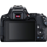 Canon EOS 250D, Black + EF-S 18-55mm f/4-5.6 IS STM + EF 50mm f/1.8 STM Lens