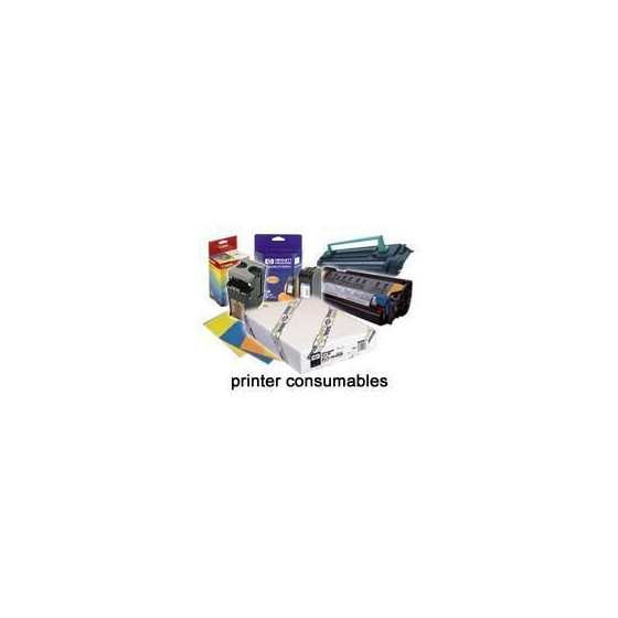 Epson Pap d'Art Ultralisse 250g 24" – Papier en rouleaux pour fine art (C13S041782)