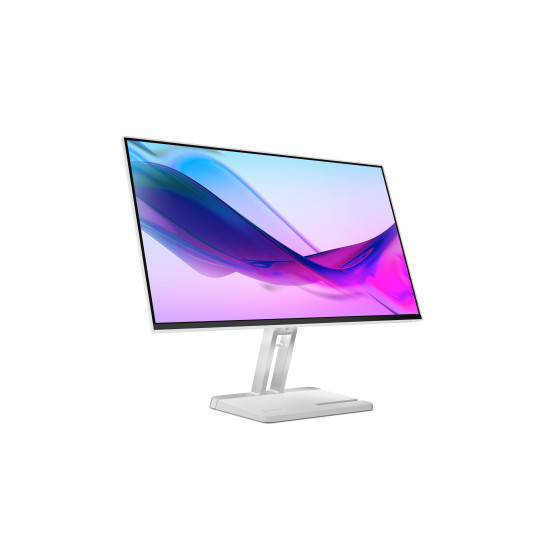 Lenovo 23.8" LED - L24i-4B