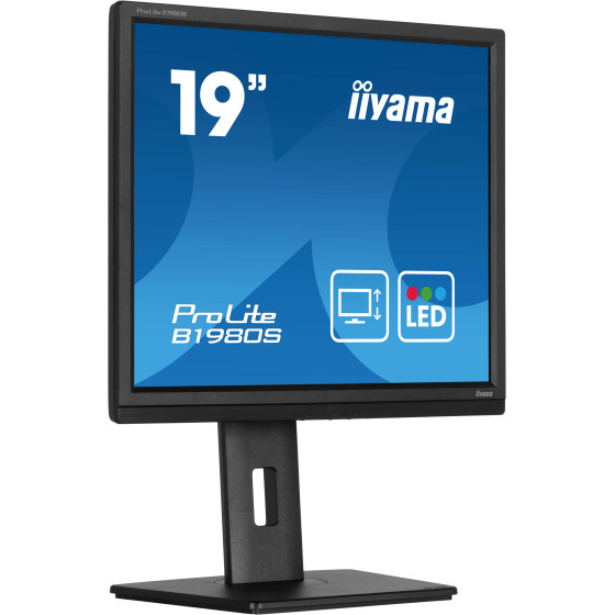 iiyama 19" LED - ProLite B1980S-B1