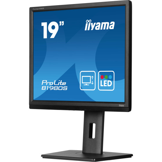 iiyama 19" LED - ProLite B1980S-B1