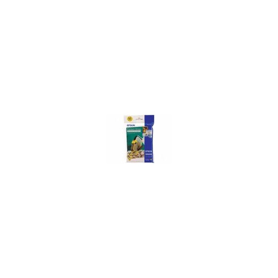 Epson Premium Glossy Photo Paper - Papier photo brillant 10x15cm (C13S041729)