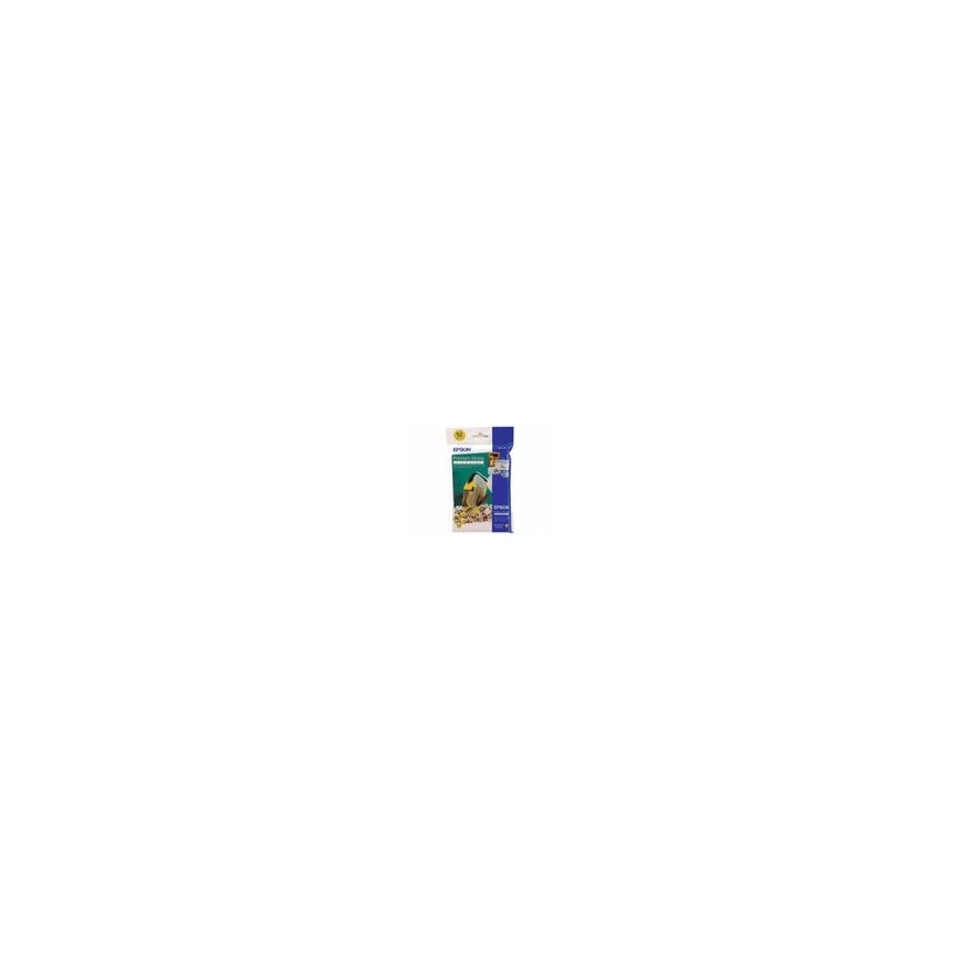 Epson Premium Glossy Photo Paper - Papier photo brillant 10x15cm (C13S041729)