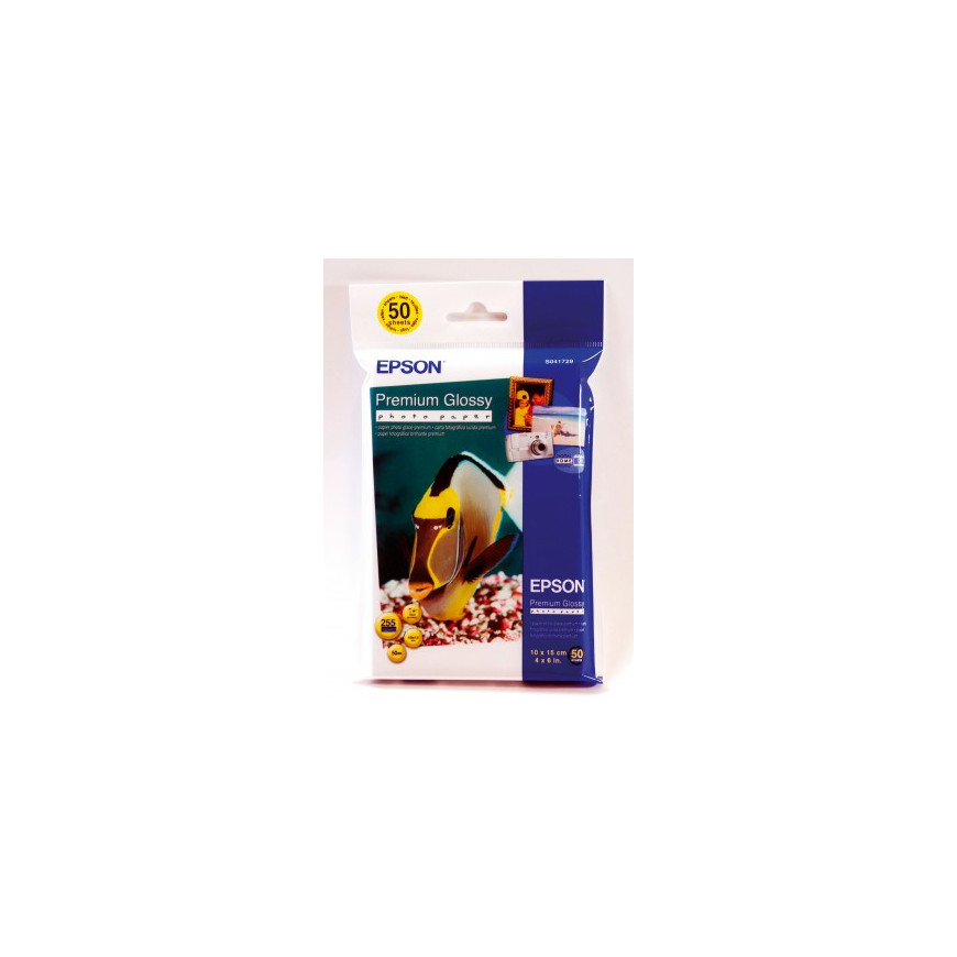 Epson Premium Glossy Photo Paper - Papier photo brillant 10x15cm (C13S041729)