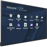 Écran de Présentation Viewsonic CDE4330 43" 4K