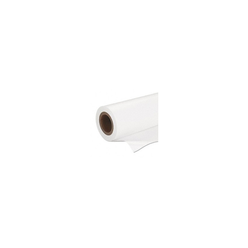Epson Premium Semigloss (170) – Papier photo semi-glacé (C13S042075)