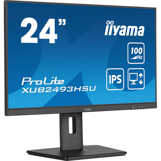 iiyama 23.8" LED - ProLite XUB2493HSU-B7