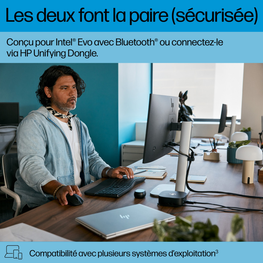 Combo Clavier souris sans fil comfort HP 685