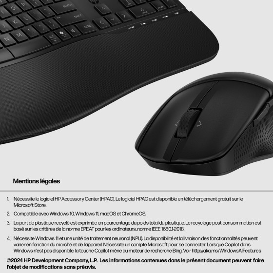 Combo Clavier souris sans fil comfort HP 685