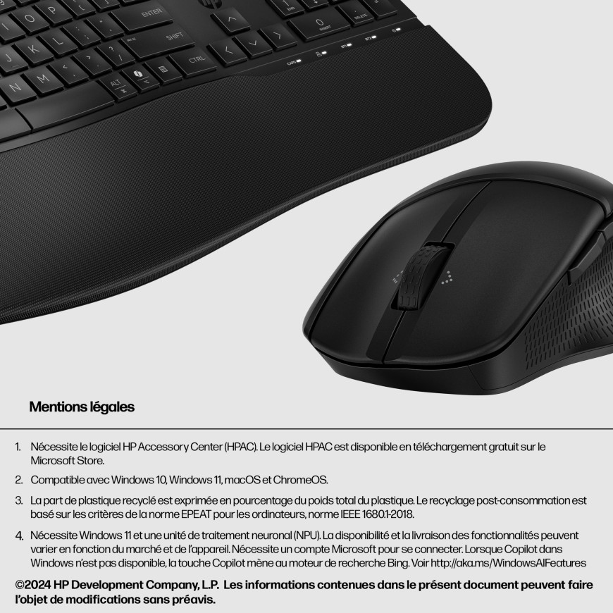 Combo Clavier souris sans fil comfort HP 685