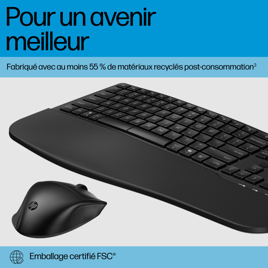 Combo Clavier souris sans fil comfort HP 685