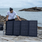 Panneau solaire bifacial portable EcoFlow 220 W