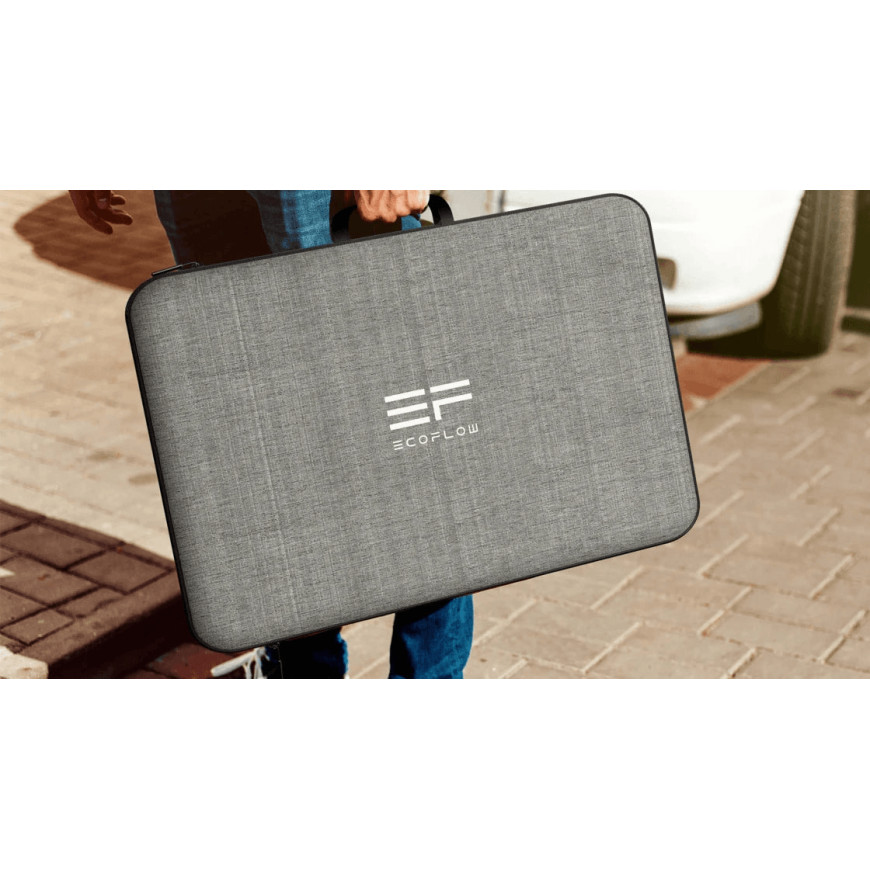 Panneau solaire bifacial portable EcoFlow 220 W