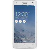 Asus Pegasus