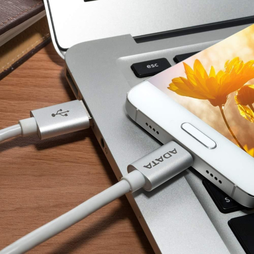 Câble USB ADATA Type C Vers 2.0 A (ACA2AL-100CM-CSV)