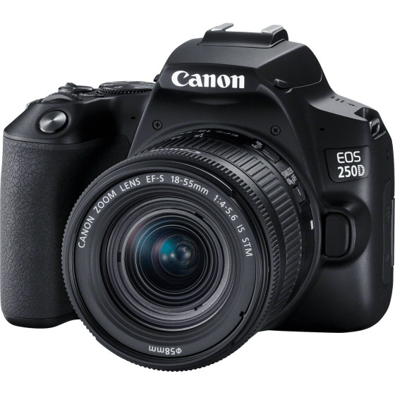 Appareil photo Canon EOS 250D, noir + objectif EF-S 18-55mm f/4-5.6 IS STM + batterie de rechange