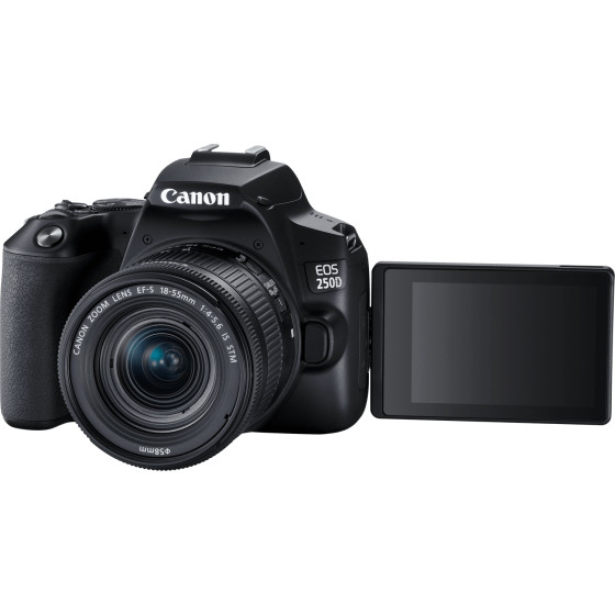 Appareil photo Canon EOS 250D, noir + objectif EF-S 18-55mm f/4-5.6 IS STM + batterie de rechange