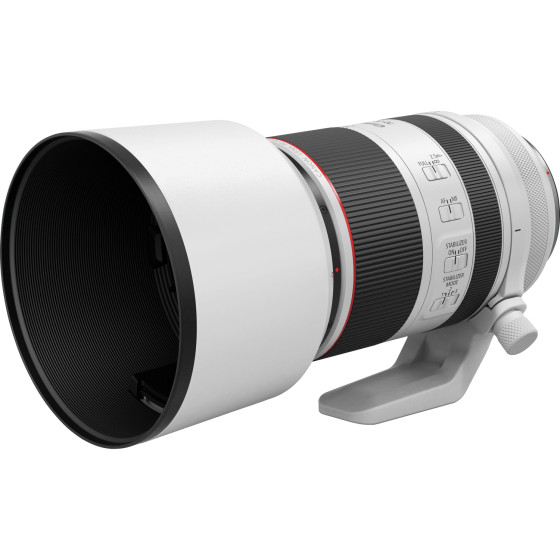 Pare-soleil Canon ET-83F (WIII)