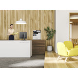 Epson WorkForce Enterprise AM-C550 – Imprimante multifonction A4 compacte (C11CJ92402)