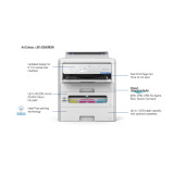 Epson WorkForce Pro RIPS EP-C800RDW – Imprimante jet d'encre professionnelle (C11CK21402)