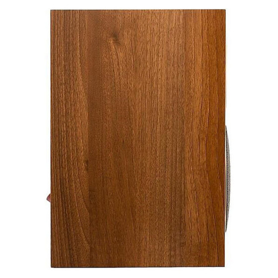 MartinLogan Motion Foundation B1 Noyer