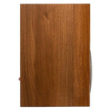 MartinLogan Motion Foundation B1 Noyer