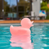 BIGBEN BTLSDUCK - Enceinte portable sans fil lumineuse résistante à l'eau Canard