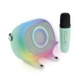 Metronic 477357 - Enceinte Karaoké Charlie avec microphone