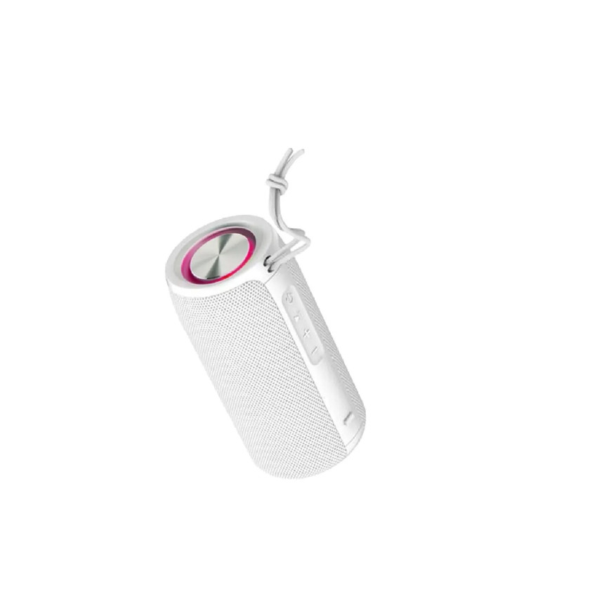 Enceinte LED 10W BLP3935-112