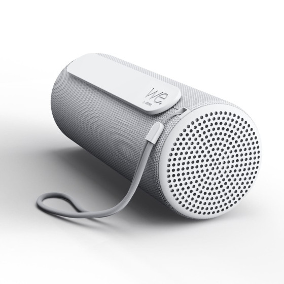 Loewe We. HEAR 1 Cool Grey