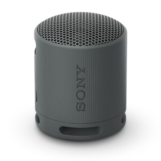 Sony SRS-XB100 Noir