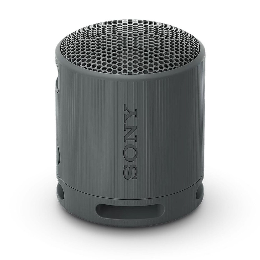 Sony SRS-XB100 Noir