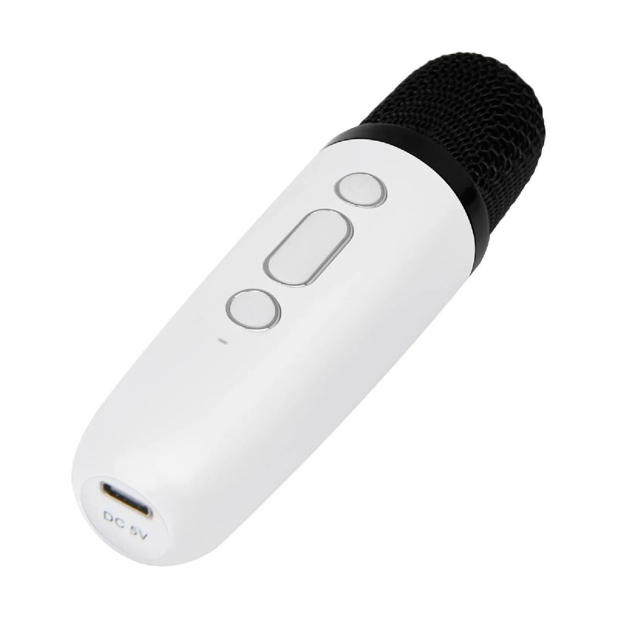 PARTY Enceinte Bluetooth 5.1 avec 2 Micro karaoké Sans Fil Modèle Party Btmic 15W Blanc