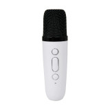 PARTY Enceinte Bluetooth 5.1 avec 2 Micro karaoké Sans Fil Modèle Party Btmic 15W Blanc