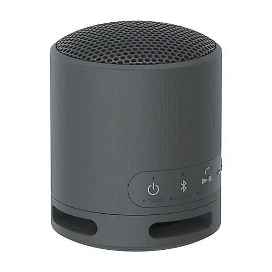 Sony SRS-XB100 Noir