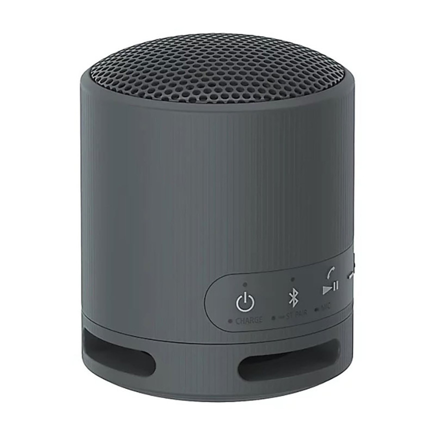 Sony SRS-XB100 Noir