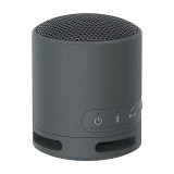 Sony SRS-XB100 Noir