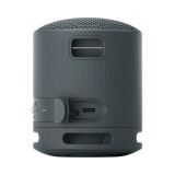 Sony SRS-XB100 Noir