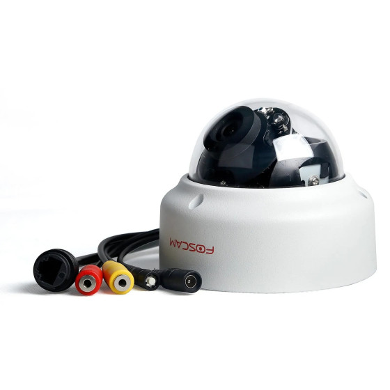 Foscam - D2EP - Camera IP dôme anti-vandalisme IR 20m - 1080p