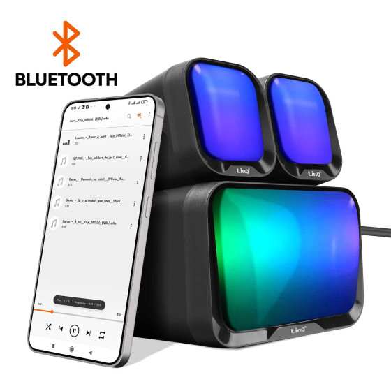 LinQ Enceinte PC Bluetooth avec Prise Jack 3.5mm Noir