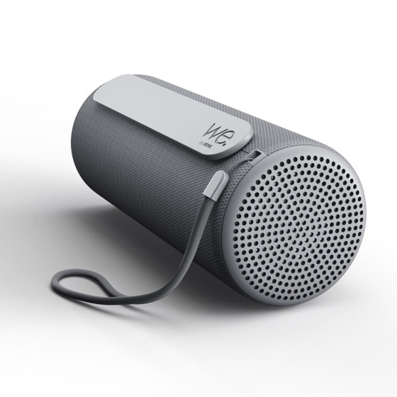 Loewe We. HEAR 1 Storm Grey