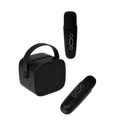 PARTY Enceinte Bluetooth 5.1 avec 2 Micro karaoké Sans Fil Modèle Party Btmic 15W Noir