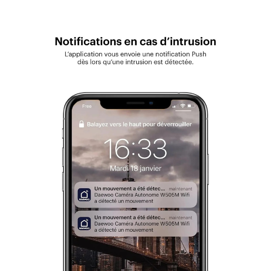 DAEWOO Pack 2 caméras IP501
